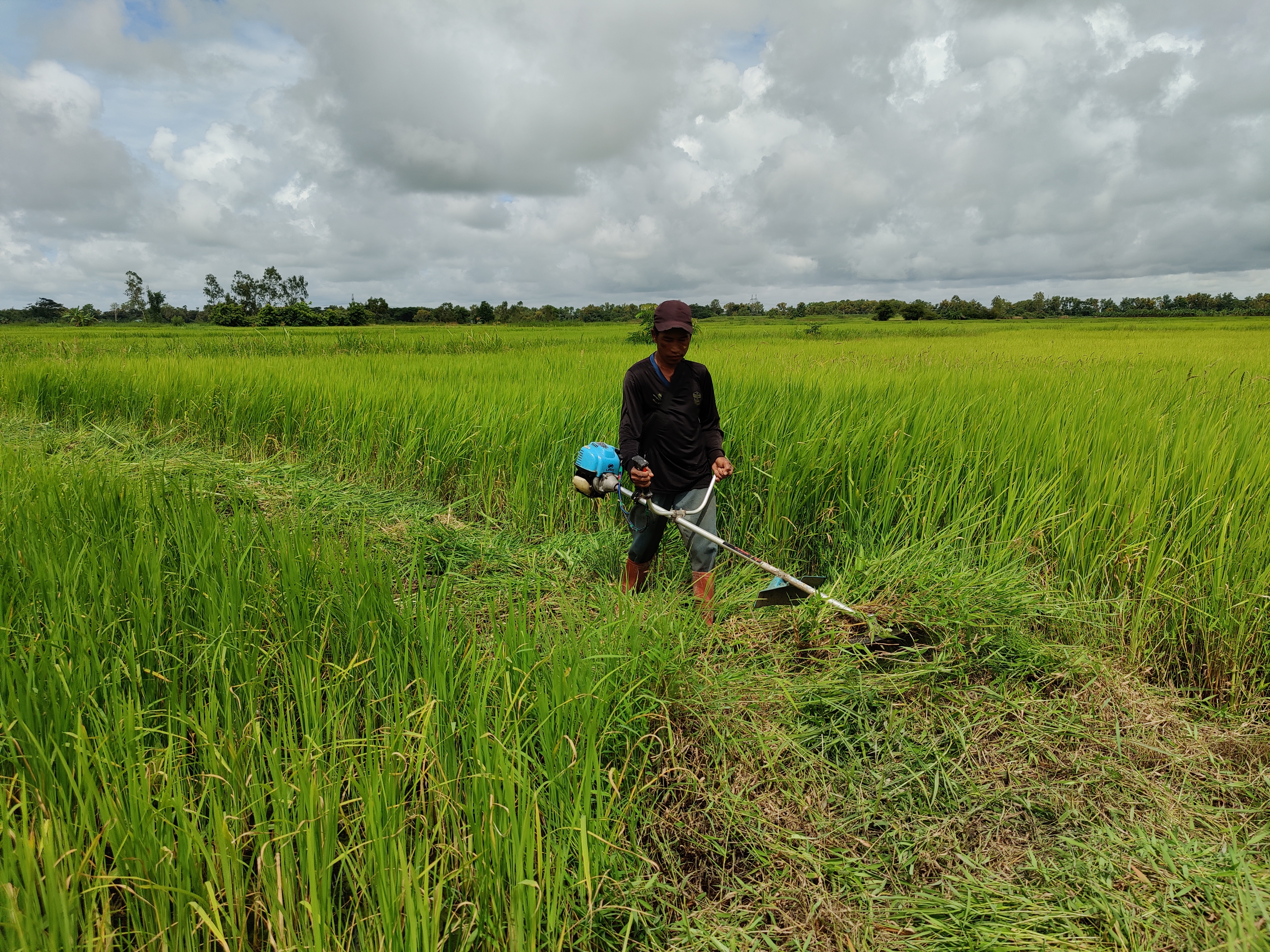Field Testimonial 4